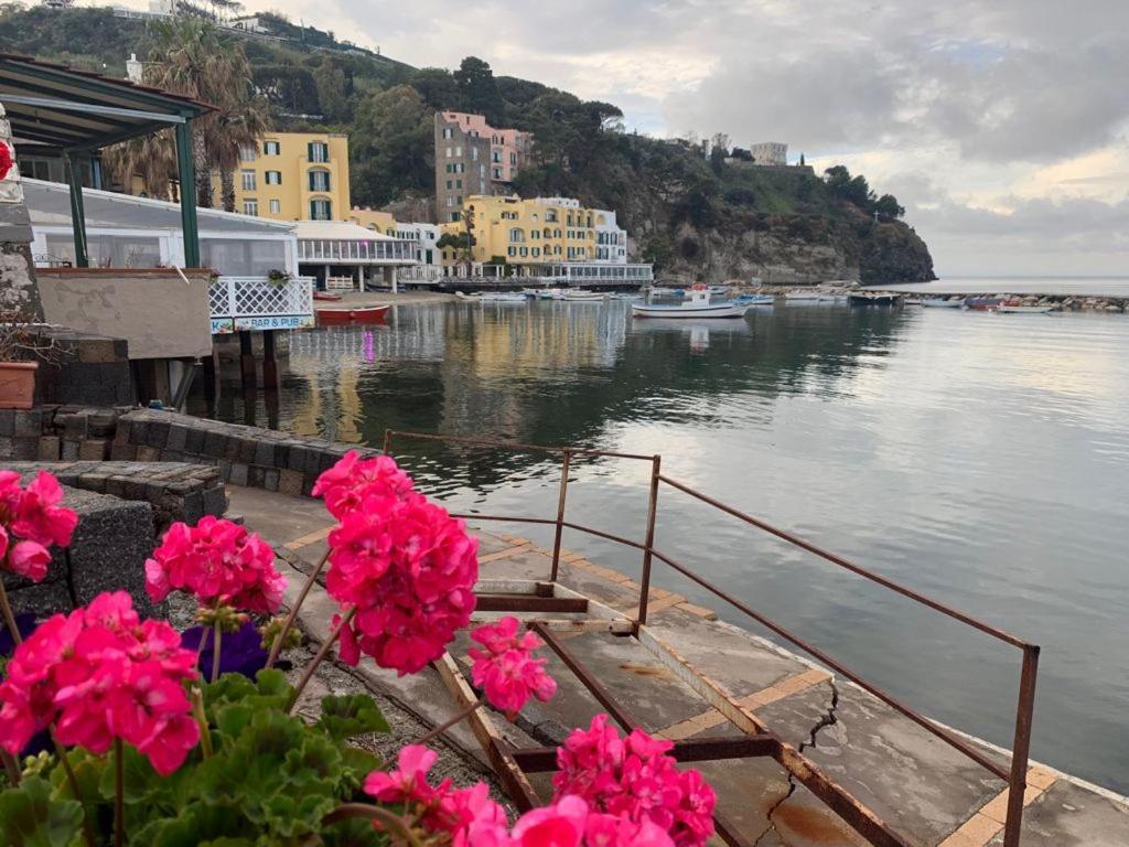 B&B Lodge Dell'Ospite Ischia Casamicciola Terme Exterior photo